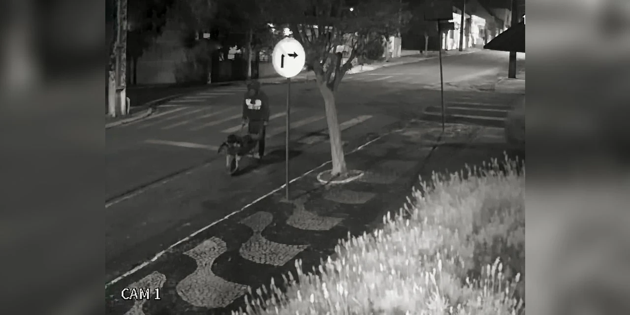 Polícia Civil prende autor de furtos em Palmeira 