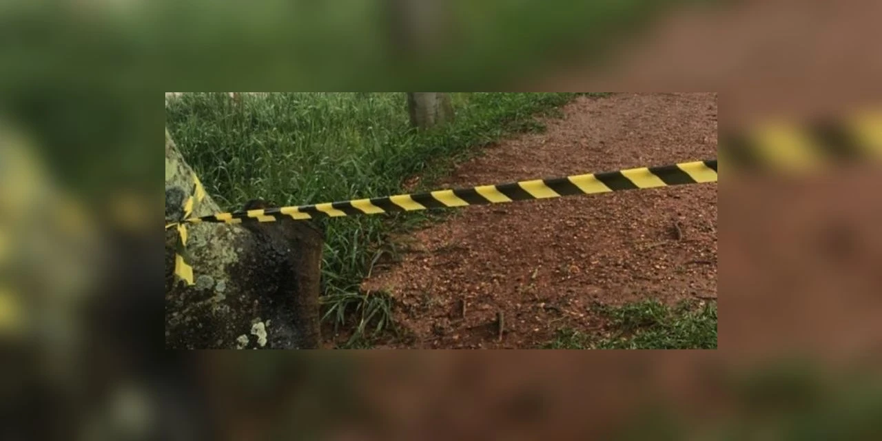 Homem encontra ossada humana no Jardim Carvalho, em Ponta Grossa