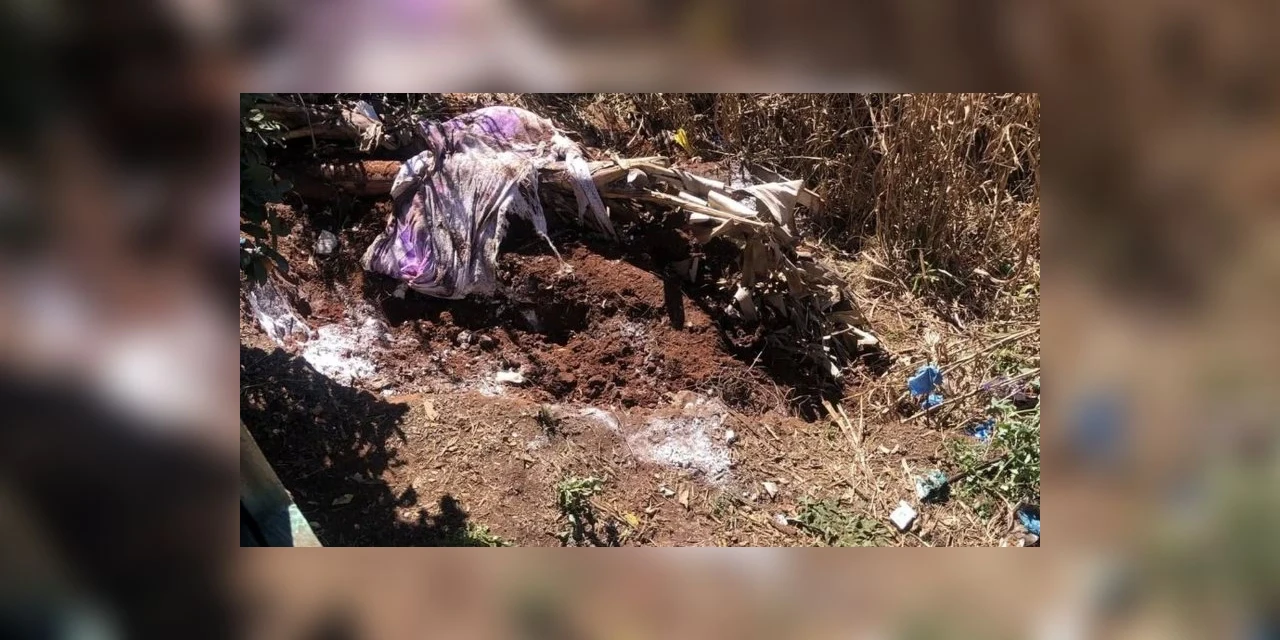 Corpo é encontrado enterrado nos fundos de residência em Imbituva  