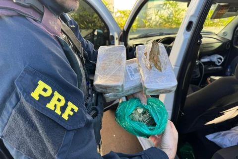 PRF apreende pasta base de cocaína e folhas de coca no (PR)
