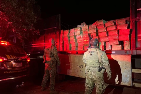 Com apoio da PMPR, PRF apreende mais de 1,5 tonelada de maconha no PR