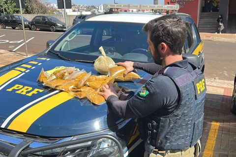 PRF apreende mais de 300 Kg de maconha e haxixe em Pato Branco