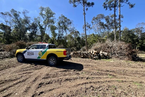 Polícia Ambiental autua proprietários por desmatamento ilegal