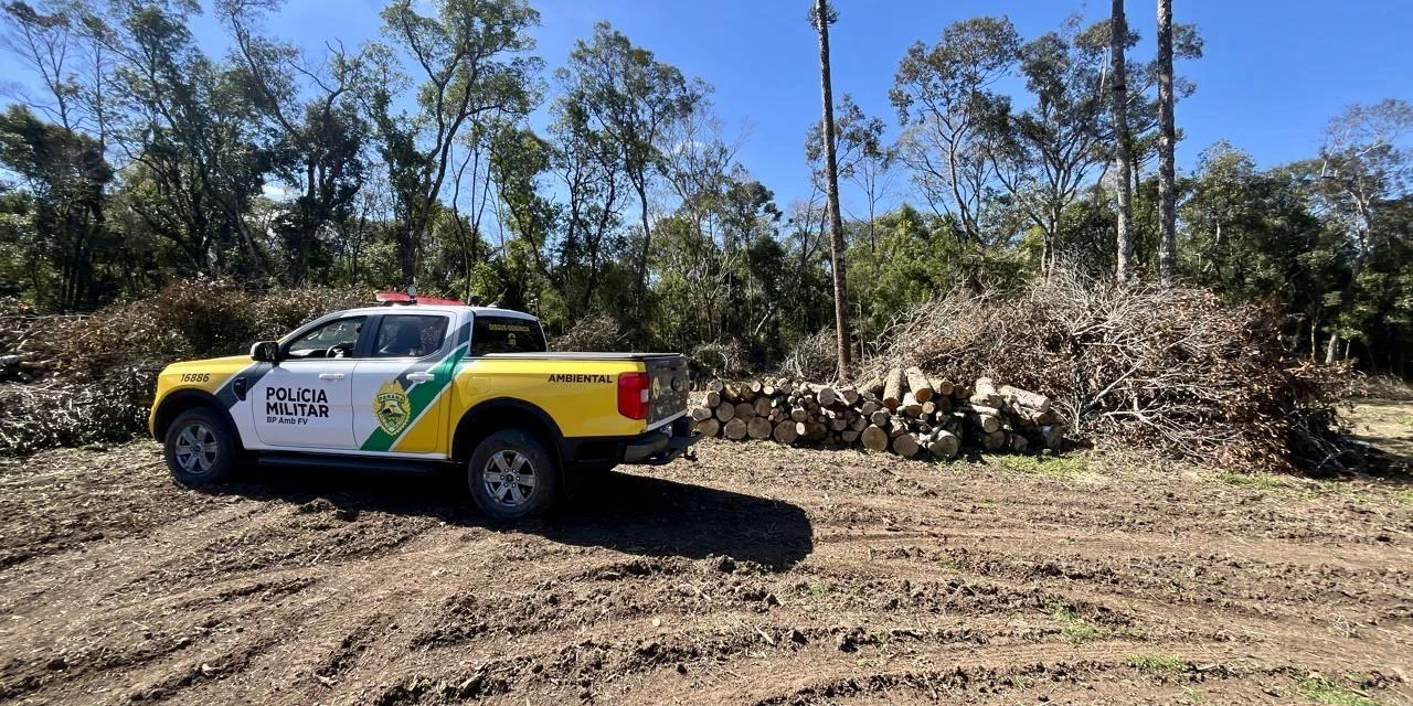 Polícia Ambiental autua proprietários por desmatamento ilegal