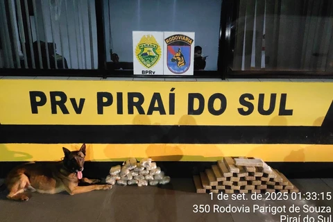 Dupla é detida dentro de ônibus transportando mais de 30kg de drogas, em Pirai do Sul 