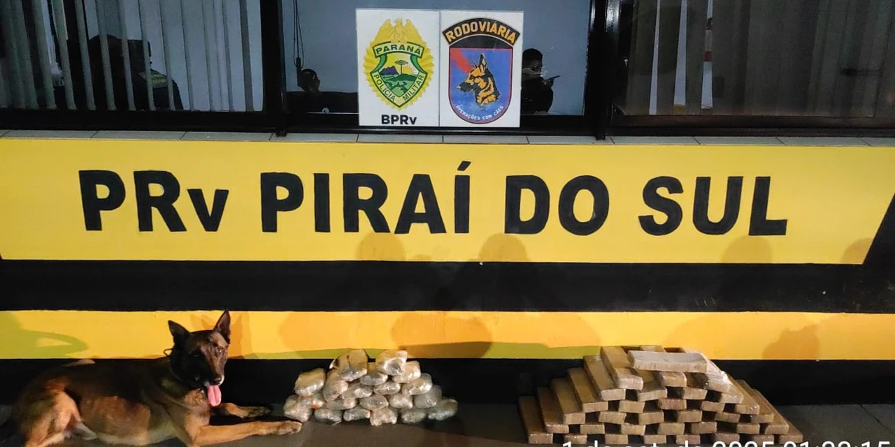 Dupla é detida dentro de ônibus transportando mais de 30kg de drogas, em Pirai do Sul 