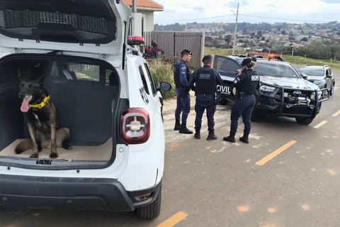 PCPR e GCM apreendem drogas e arma suspeita de ser usada em homicídio em PG 