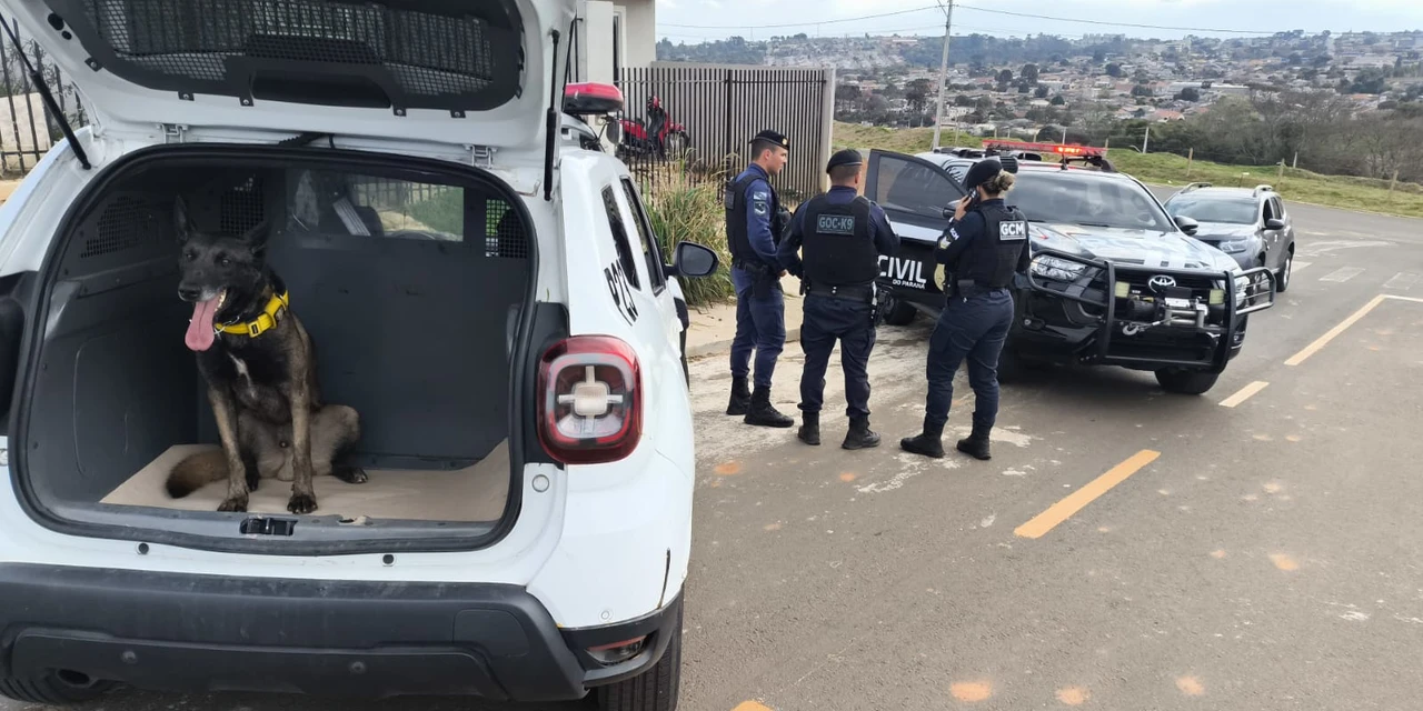 PCPR e GCM apreendem drogas e arma suspeita de ser usada em homicídio em PG 