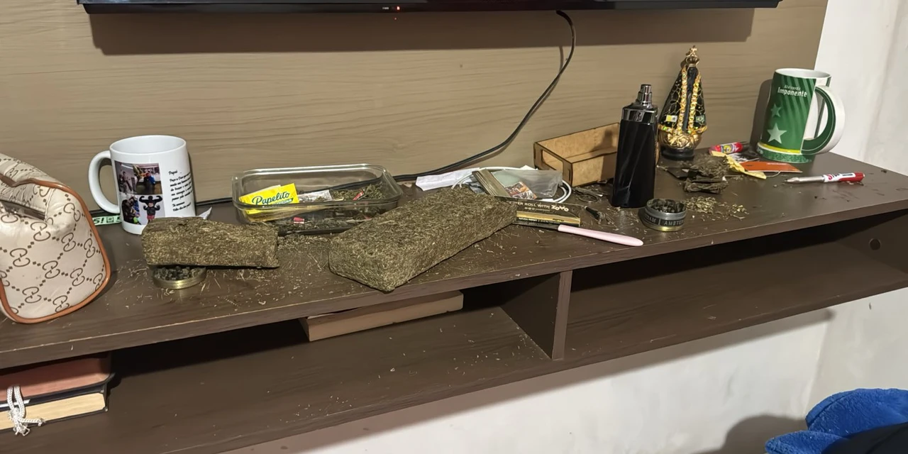 Policia Civil cumpre 59 mandados contra organização criminosa que despachava drogas pelos correios 