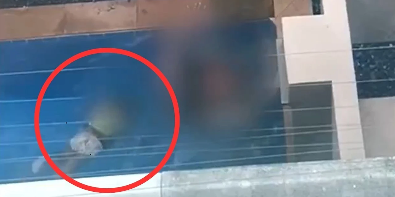 Mãe tem relação sexual em piscina ao lado do filho e é filmada por vizinho; vídeo