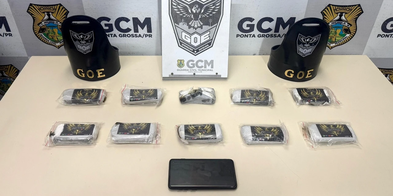 PCPR e GCM apreendem quase 3kg de haxixe em Ponta Grossa 