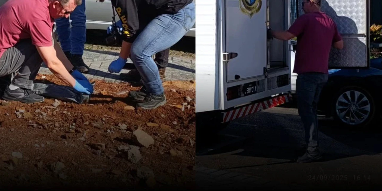 Ossada é encontrada na região da Vila Estrela em Ponta Grossa 