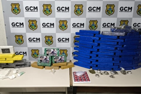 Mais de 300 mil reais em drogas são aprendidos em ação integrada da PCPR e GCM de PG 