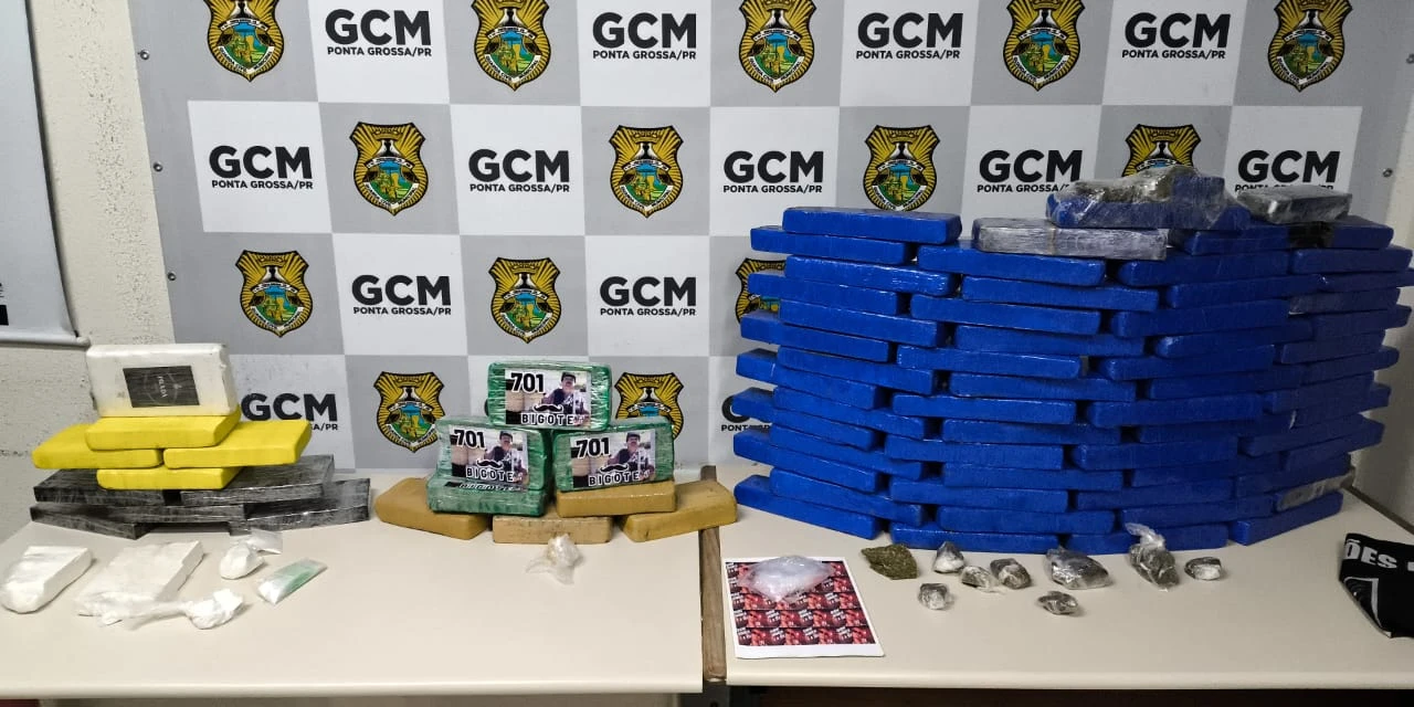 Mais de 300 mil reais em drogas são aprendidos em ação integrada da PCPR e GCM de PG 