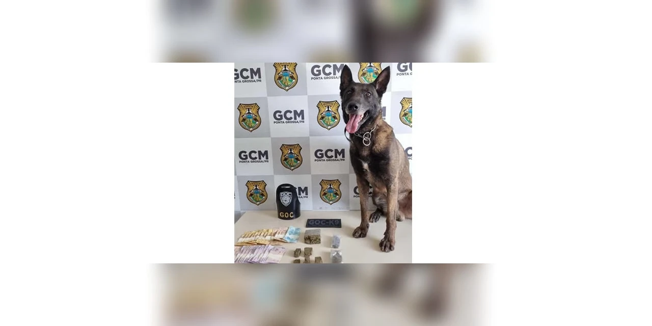 GCM localiza e apreende drogas no Jardim Carvalho, em PG 