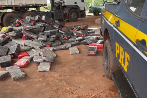 PRF apreende mais de 2,6 toneladas de maconha escondida em carga milho