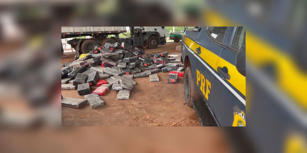 PRF apreende mais de 2,6 toneladas de maconha escondida em carga milho