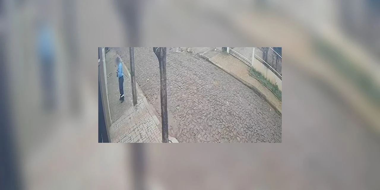 Funcionário terceirizado da Sanepar mata cachorro com barra de ferro em frente a casa no Paraná; veja vídeo