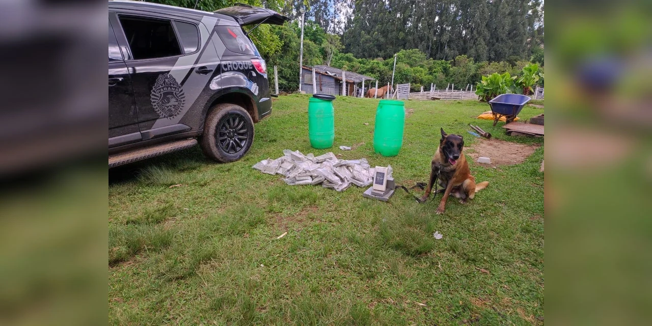 PM apreende mais de 50kg de drogas em PG