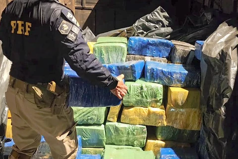 PRF apreende mais de cinco toneladas de maconha no Paraná