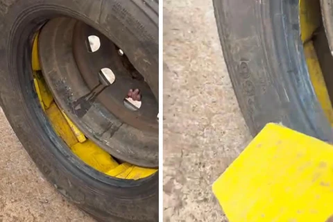 PRF apreende mais de 83 quilos de cocaína escondidos em pneus de carreta