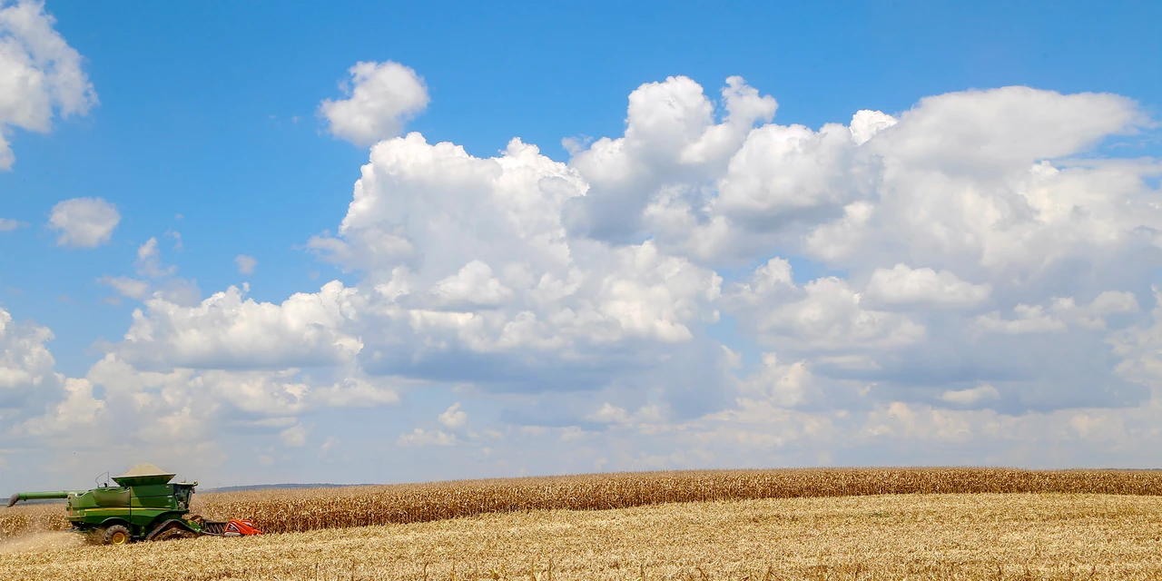 Paraná cresce acima da média nacional em 2023 e mantém 4º maior PIB do País