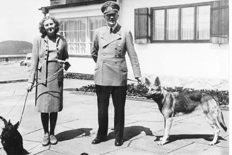 Documentário revela que Hitler tinha micropênis e também possuía somente um testículo