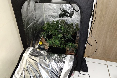 Gaeco cumpre mandados contra organização responsável pela fabricação e comercialização de drogas sintéticas