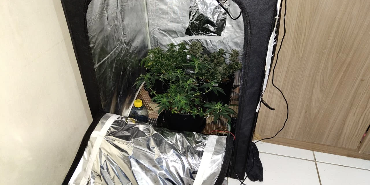 Gaeco cumpre mandados contra organização responsável pela fabricação e comercialização de drogas sintéticas