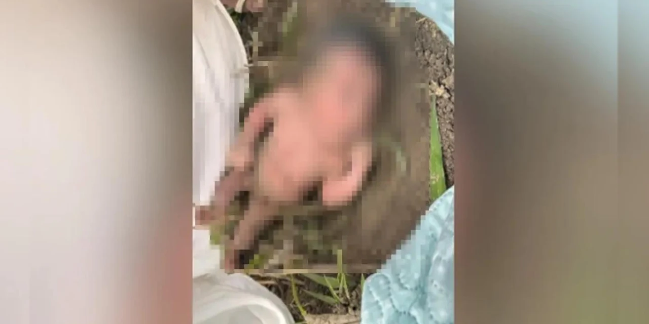 Recém-nascida é encontrada abandonada em formigueiro; veja vídeo