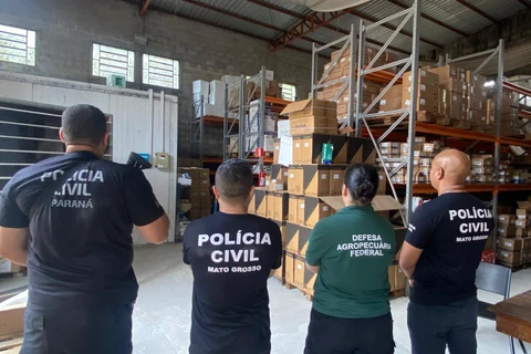 PCPR prende médico veterinário que prescreveu 112,6 mil frascos de cetamina em 4 anos