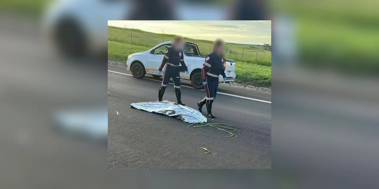 Mulher atropelada em rodovia é declarada morta pelo Samu, deixada na pista e reanimada minutos depois