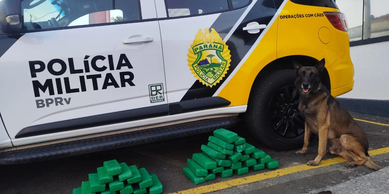 Jovem de 19 anos é detida com mais de 21 kg de drogas dentro de ônibus