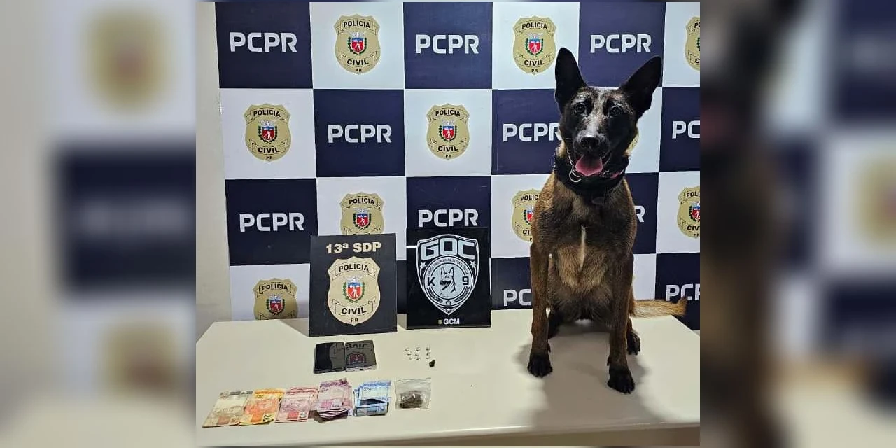 Ação integrada da Polícia Civil e GCM de PG prende homem que usava a casa de idosa como ponto de tráfico