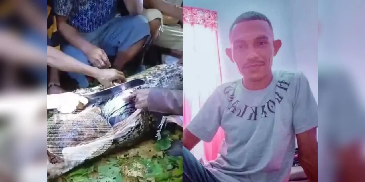 Homem volta de bar e é comido vivo por cobra de 7 metros