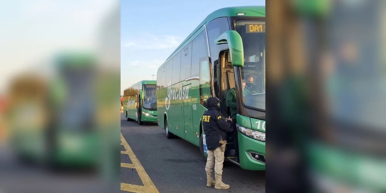 PRF prende idoso por importunação sexual em ônibus na BR-277 em São José dos Pinhais