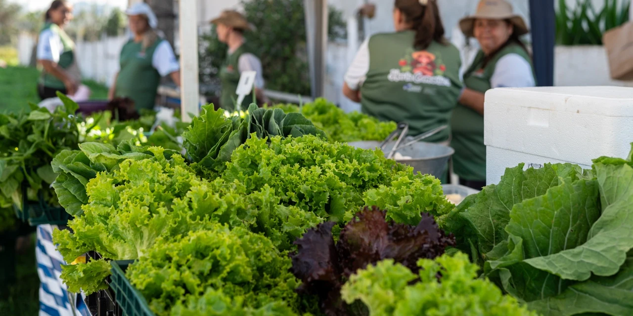 Prefeitura abre cadastro para entidades que atuam na segurança alimentar em Ponta Grossa